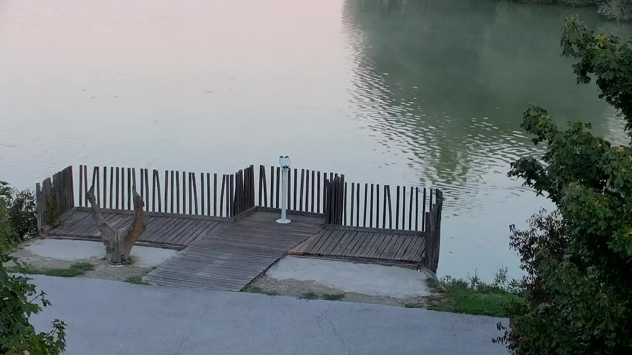 Webcam Ribnik Vrbje – Žalec