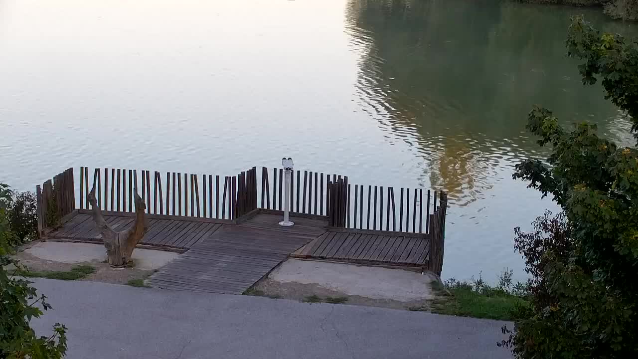 Web kamera Ribnik Vrbje – Žalec