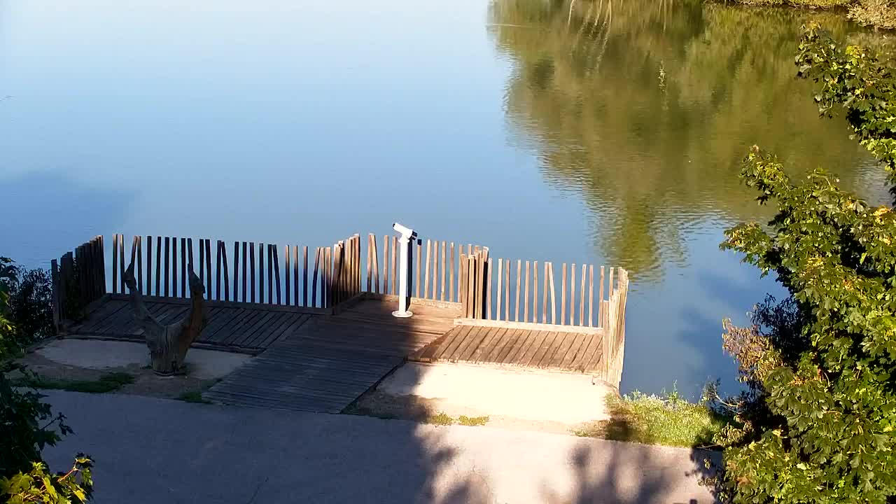 Webcam Ribnik Vrbje – Žalec