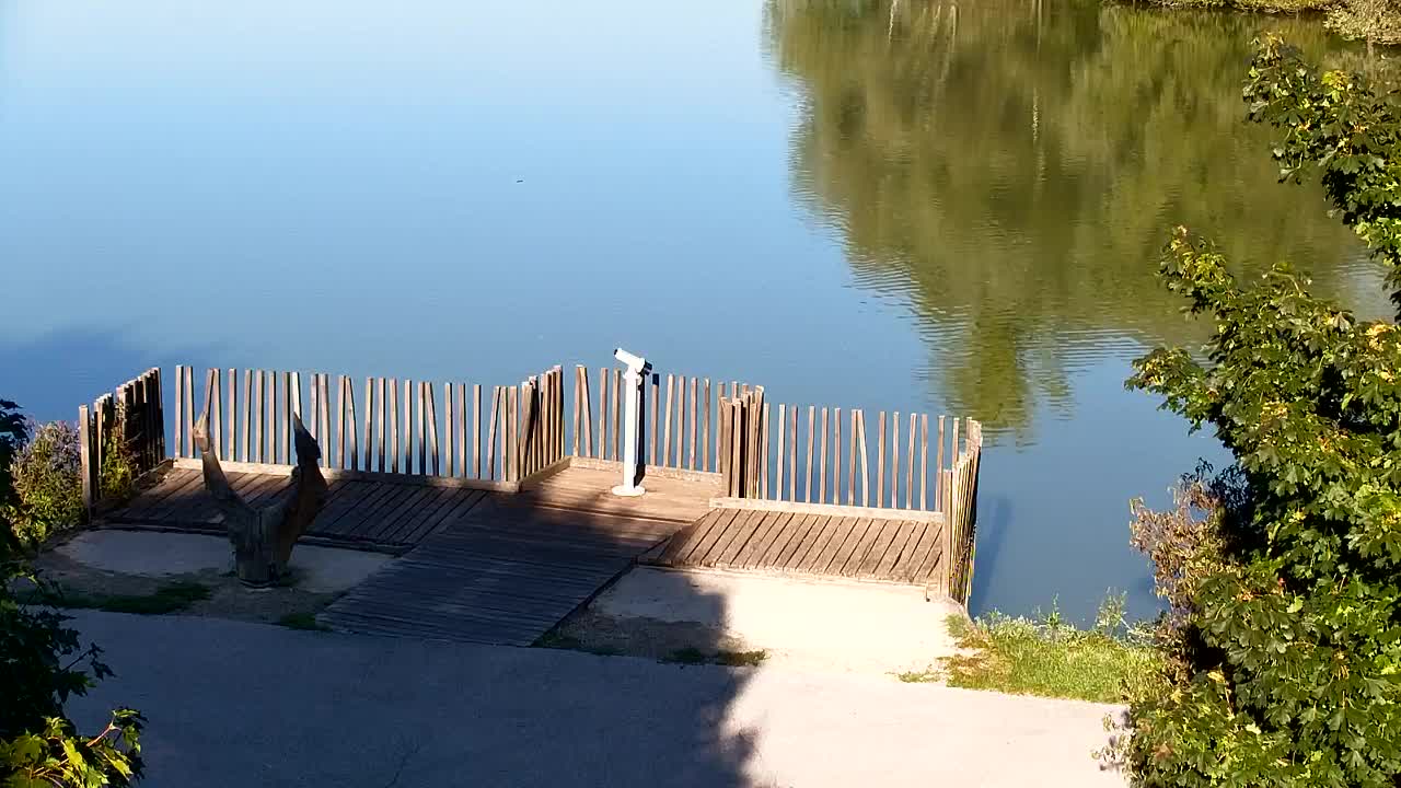 Web kamera Ribnik Vrbje – Žalec
