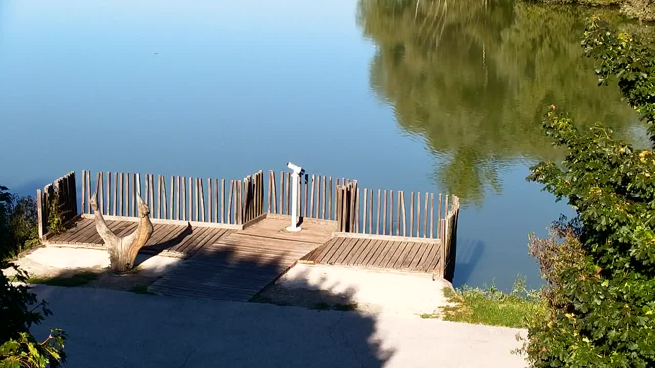 Webcam Ribnik Vrbje – Žalec
