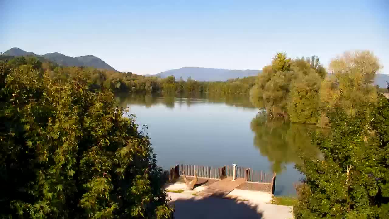 Webcam Ribnik Vrbje – Žalec