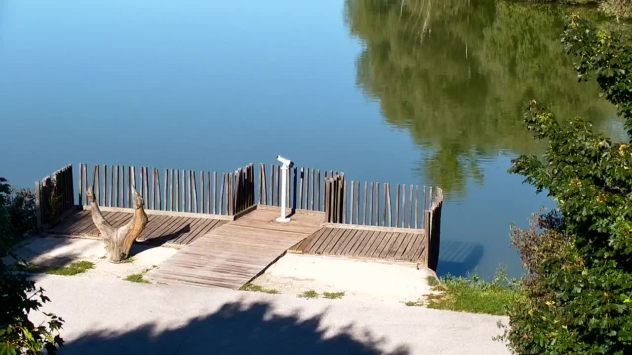 Webcam Ribnik Vrbje – Žalec
