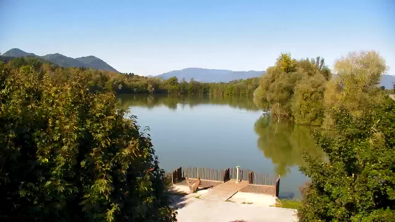 Webcam Ribnik Vrbje – Žalec