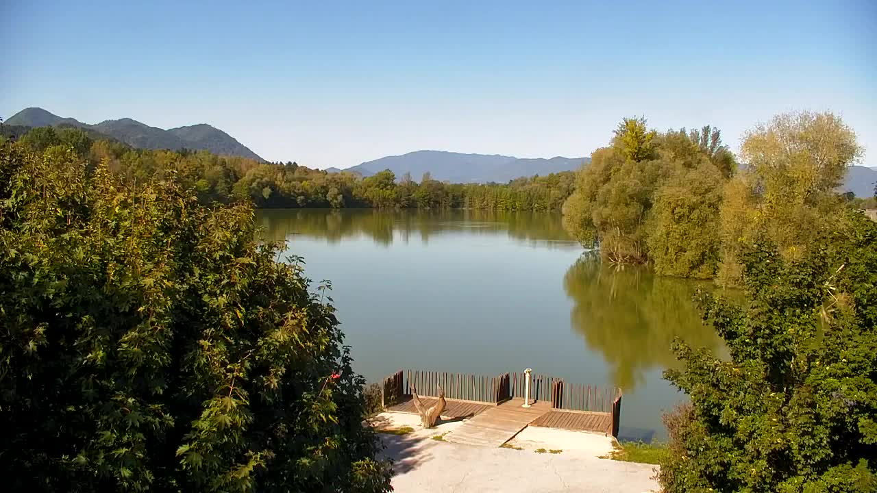 Webcam Ribnik Vrbje – Žalec