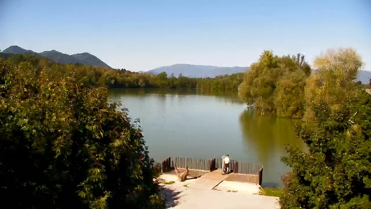 Webcam Ribnik Vrbje – Žalec