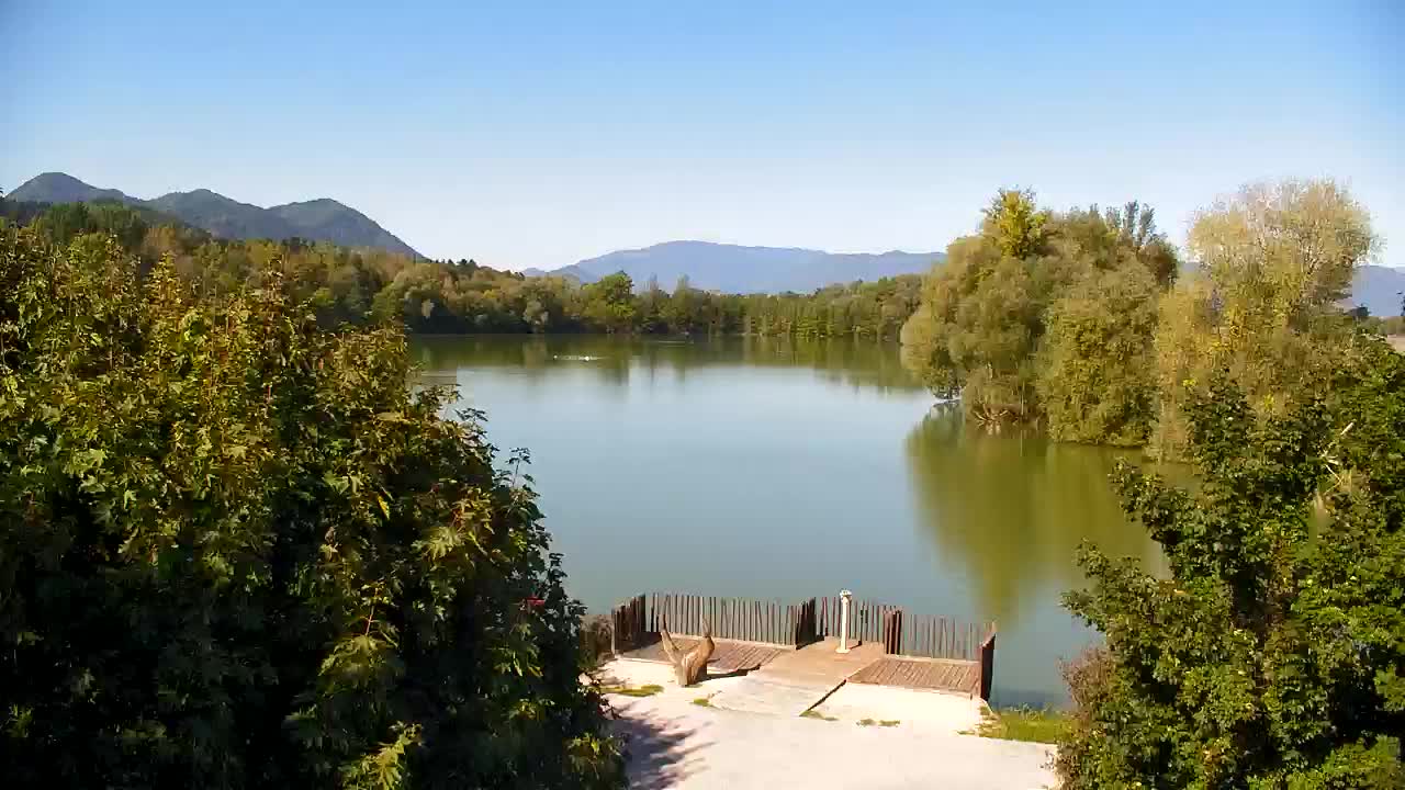 Webcam Ribnik Vrbje – Žalec