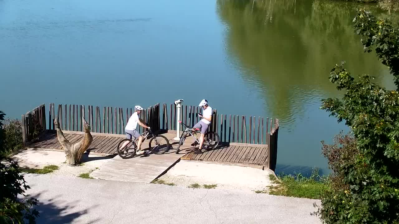 Webcam Ribnik Vrbje – Žalec