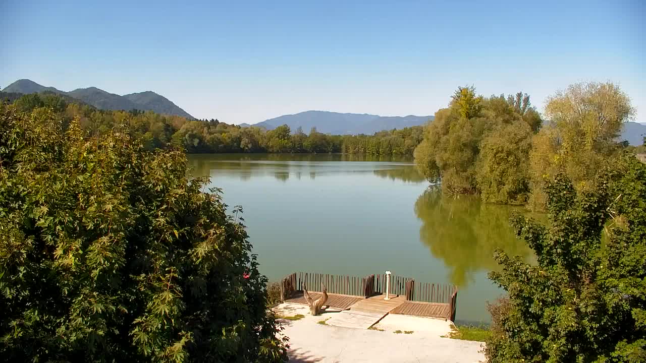 Webcam Ribnik Vrbje – Žalec