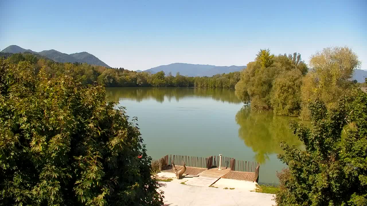 Spletna kamera Ribnik Vrbje – Žalec