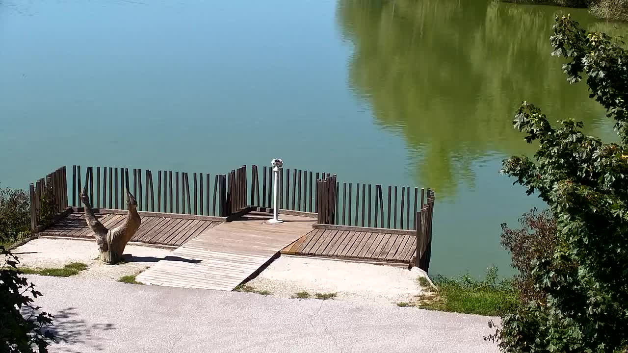 Webcam Ribnik Vrbje – Žalec