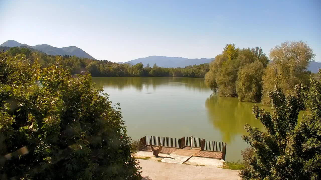 Webcam Ribnik Vrbje – Žalec