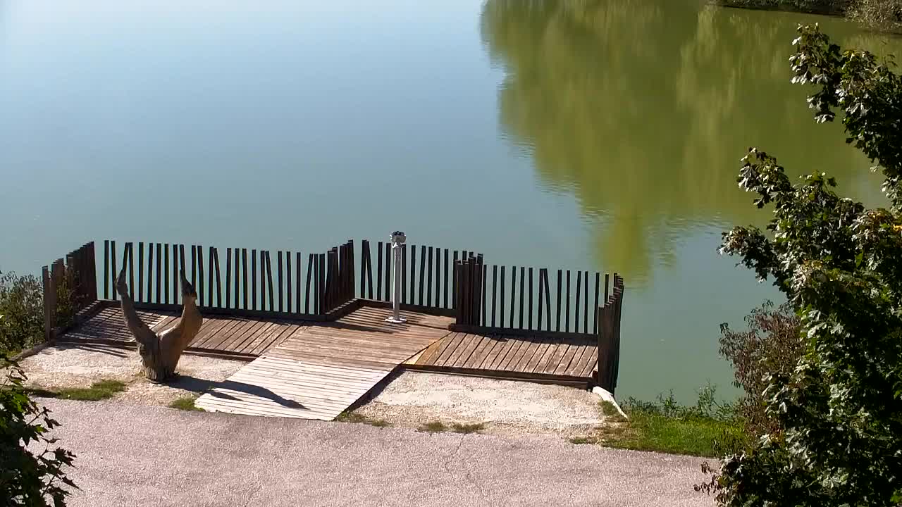 Webcam Ribnik Vrbje – Žalec