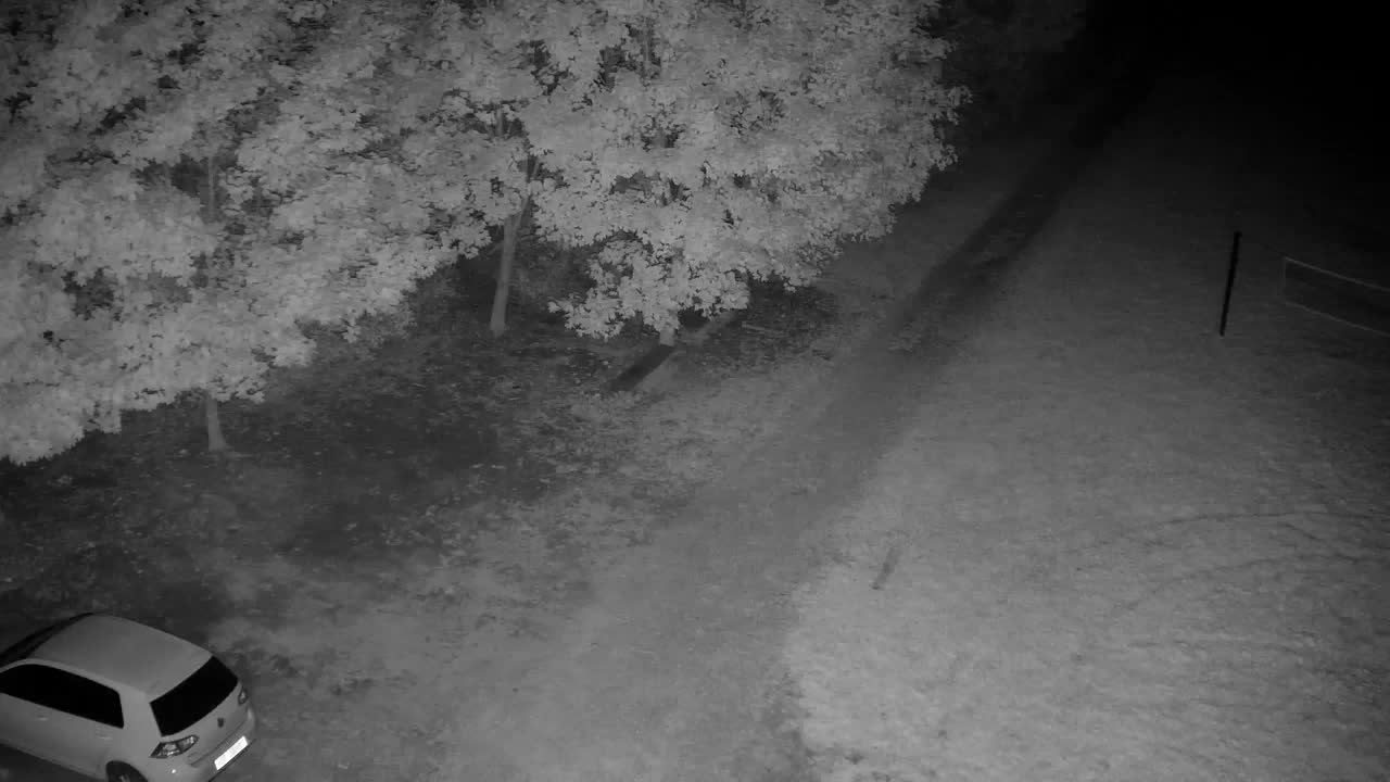 Webcam Ribnik Vrbje – Žalec