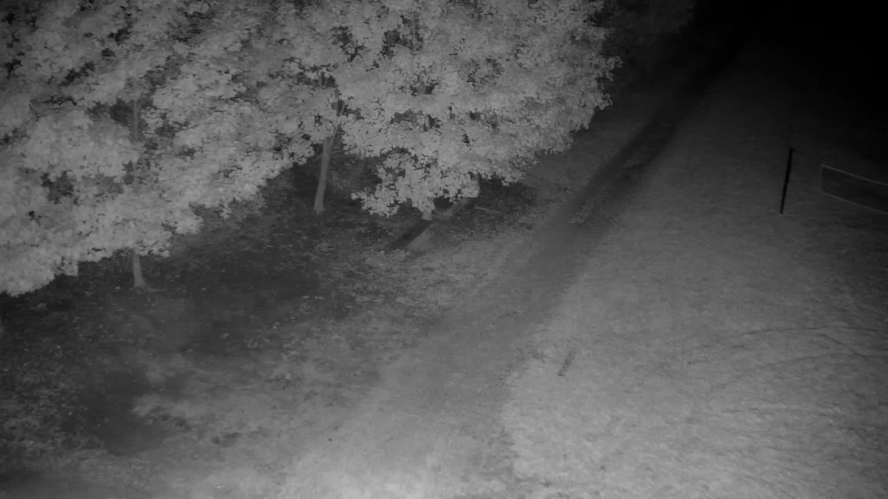Webcam Ribnik Vrbje – Žalec