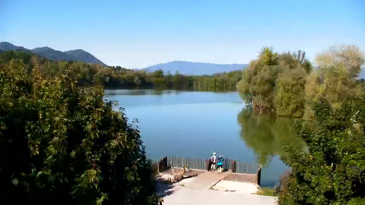 Spletna kamera Ribnik Vrbje – Žalec