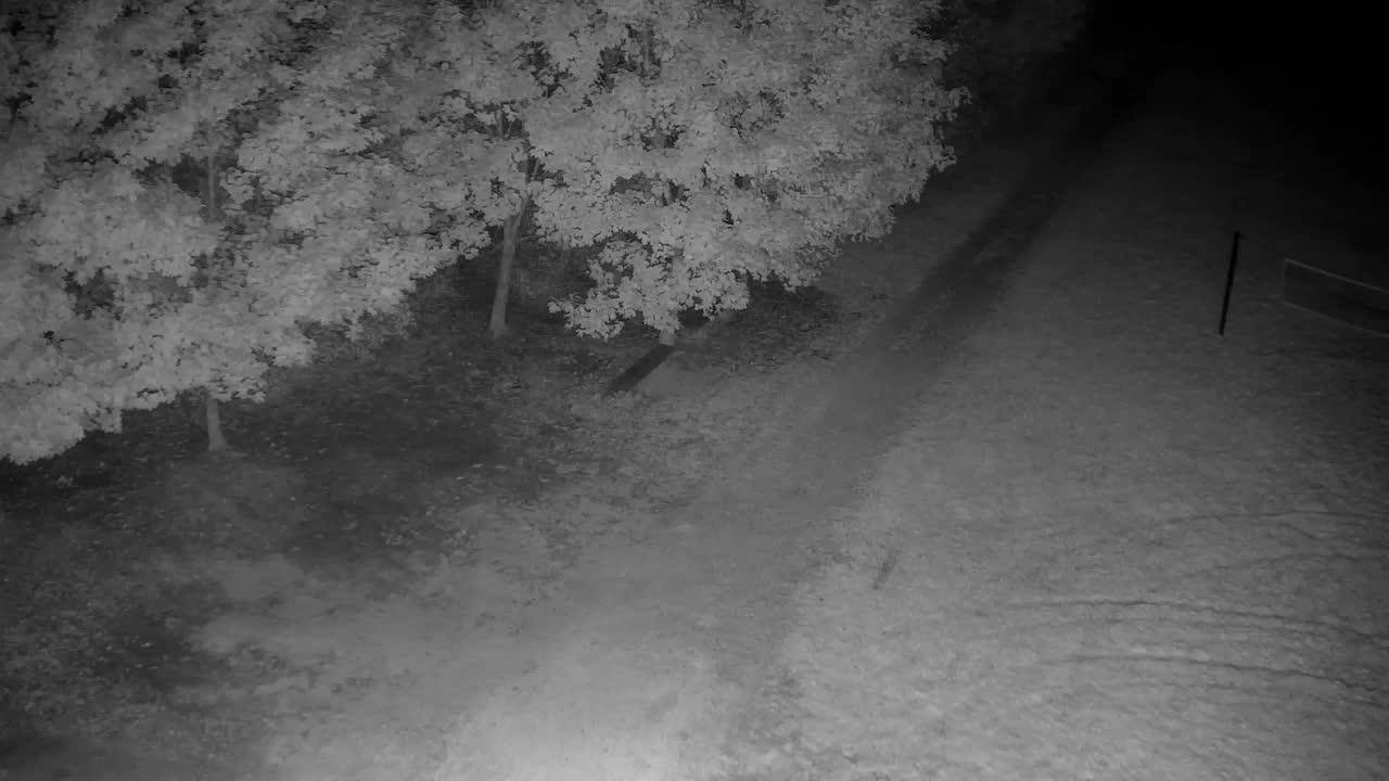 Webcam Ribnik Vrbje – Žalec