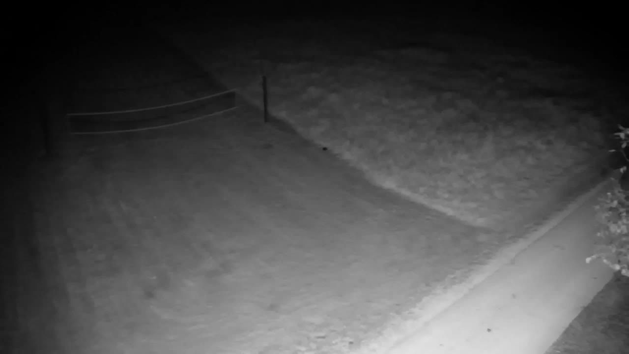 Webcam Ribnik Vrbje – Žalec