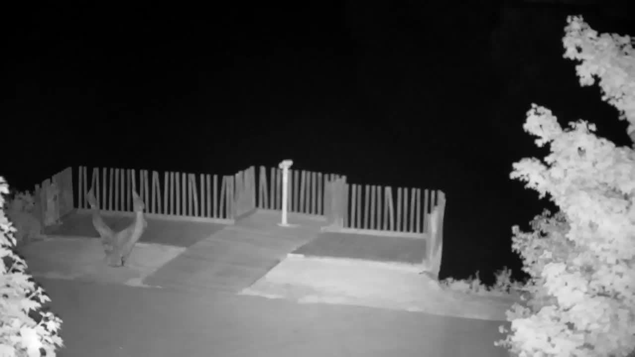 Webcam Ribnik Vrbje – Žalec