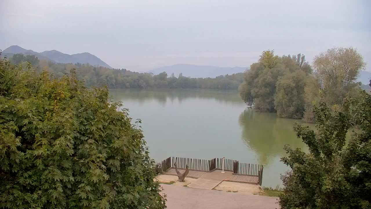 Web kamera Ribnik Vrbje – Žalec
