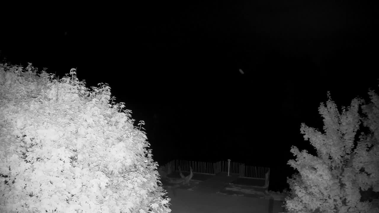 Webcam Ribnik Vrbje – Žalec
