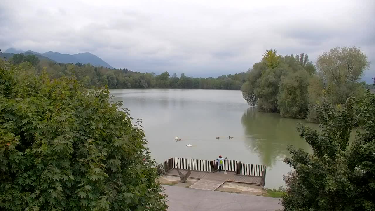 Webcam Ribnik Vrbje – Žalec