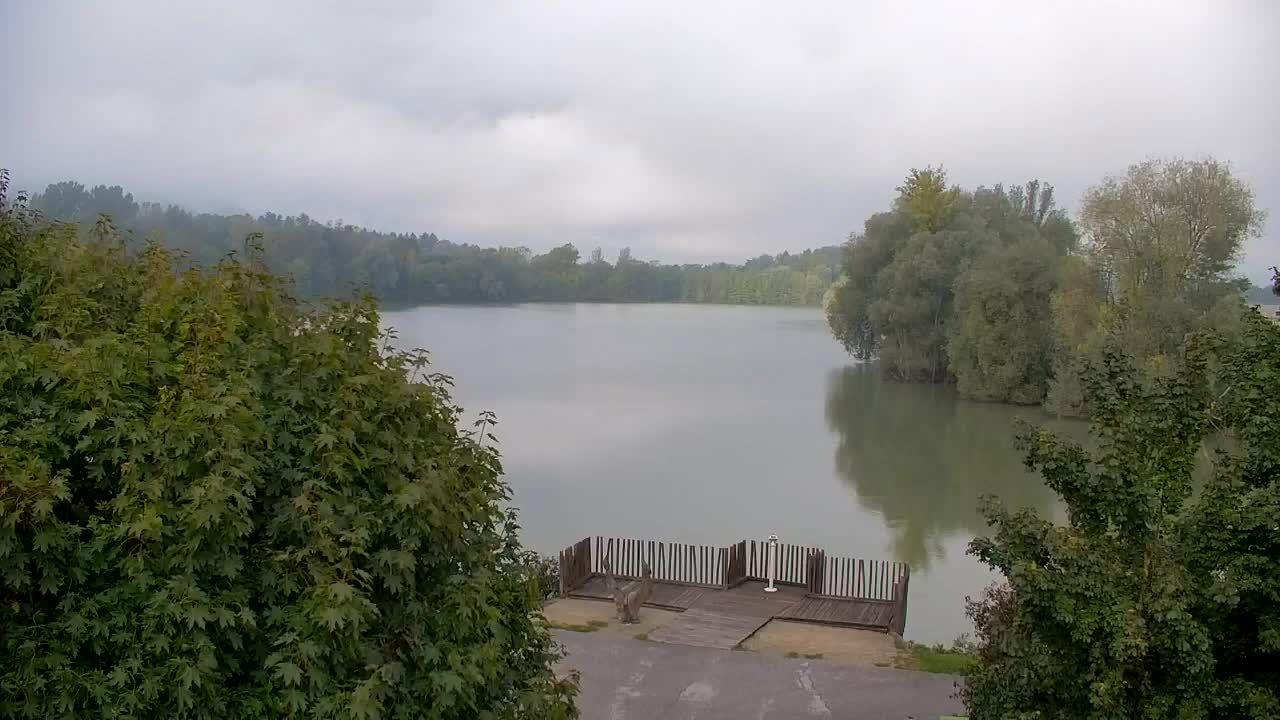 Webcam Ribnik Vrbje – Žalec