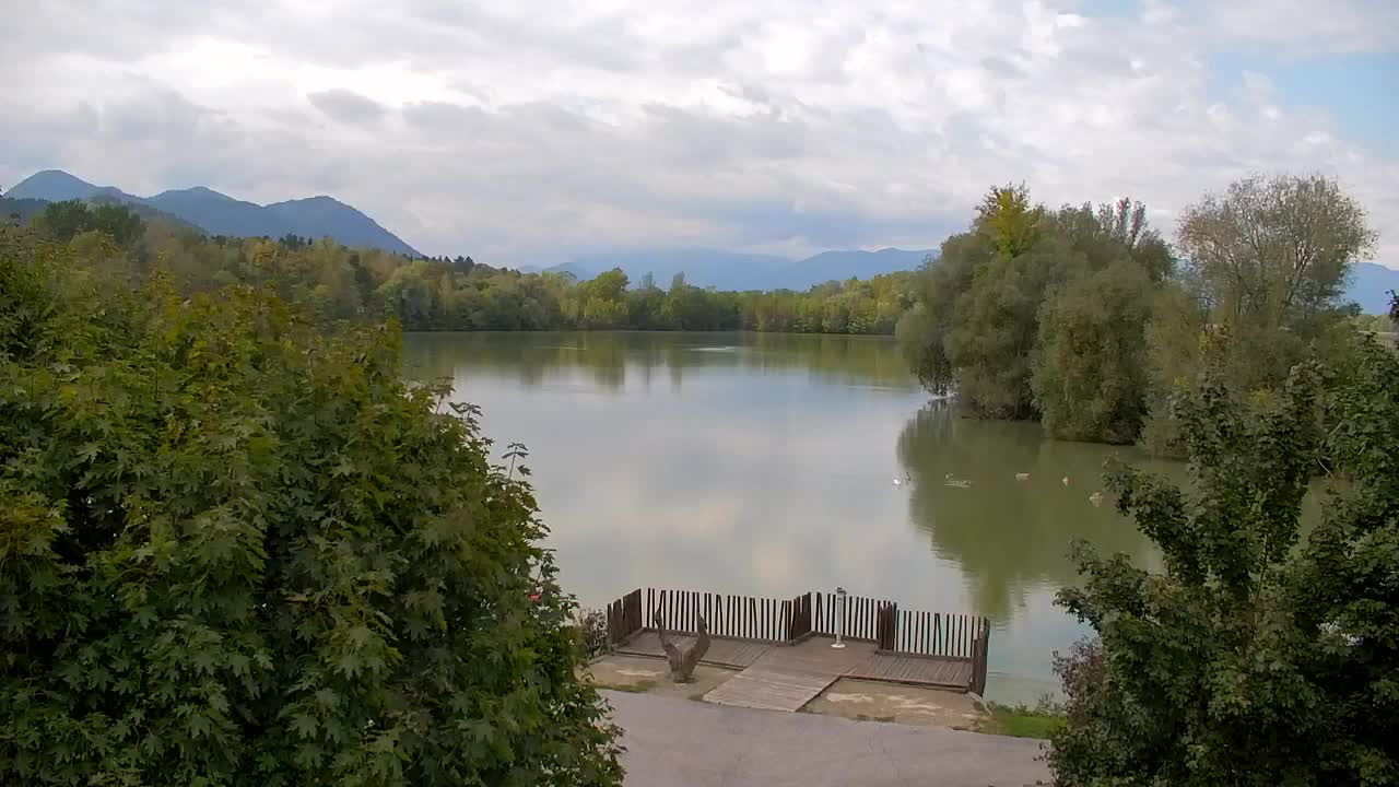 Webcam Ribnik Vrbje – Žalec
