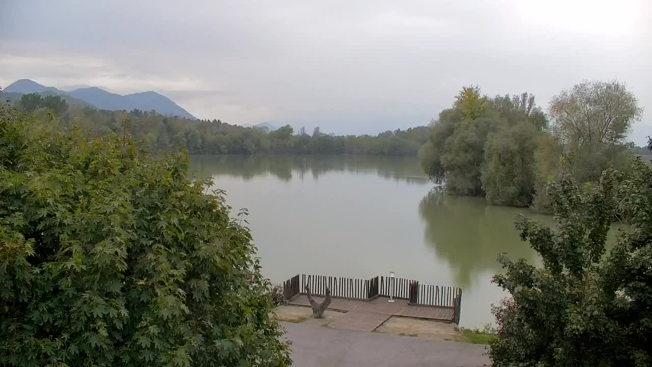 Web kamera Ribnik Vrbje – Žalec