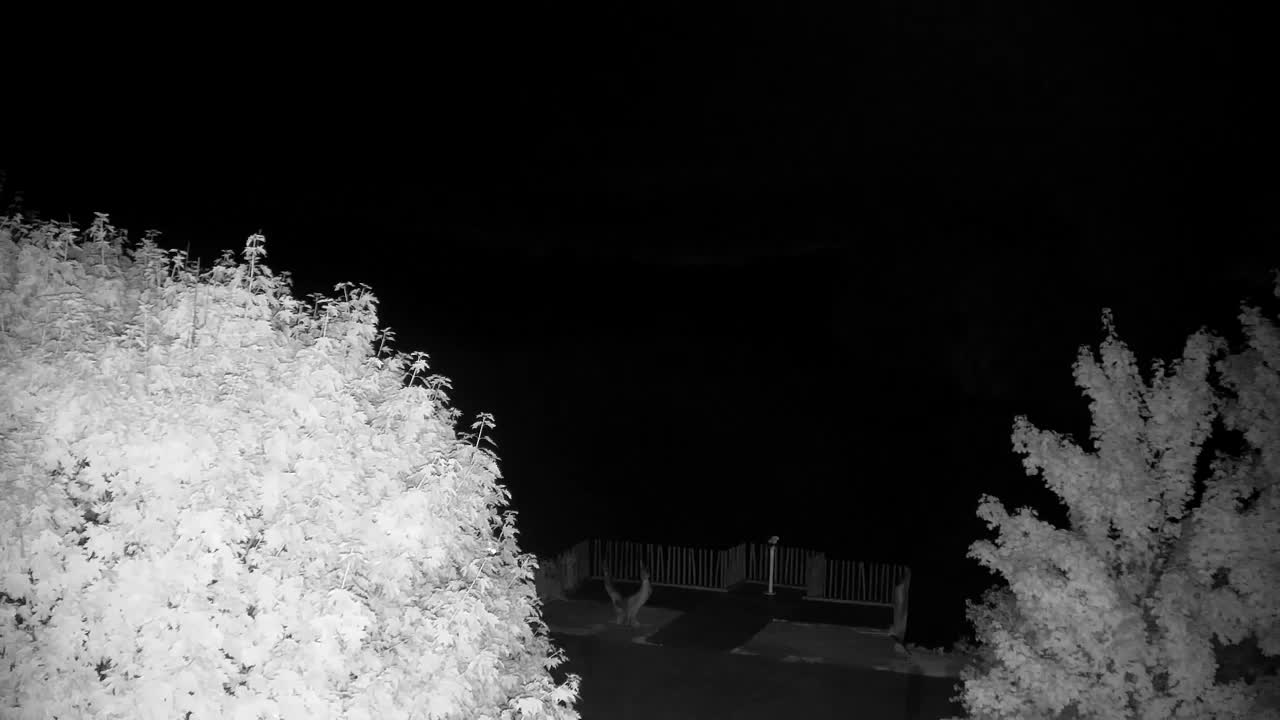 Webcam Ribnik Vrbje – Žalec