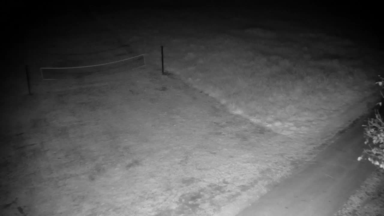 Webcam Ribnik Vrbje – Žalec