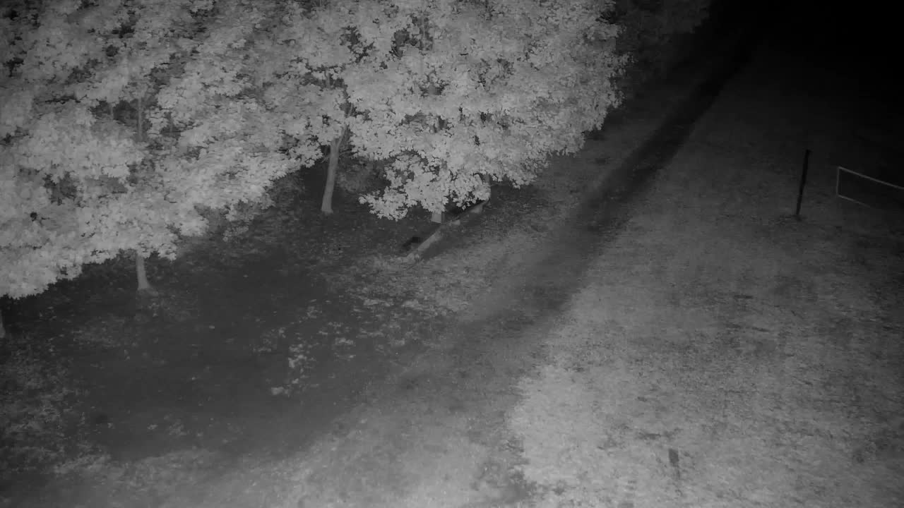 Webcam Ribnik Vrbje – Žalec