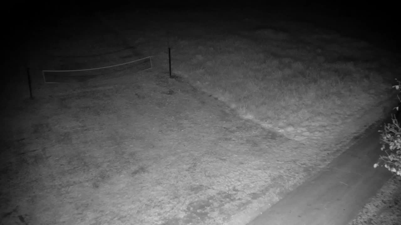 Webcam Ribnik Vrbje – Žalec