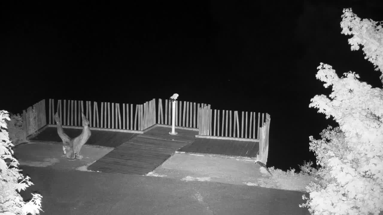 Webcam Ribnik Vrbje – Žalec