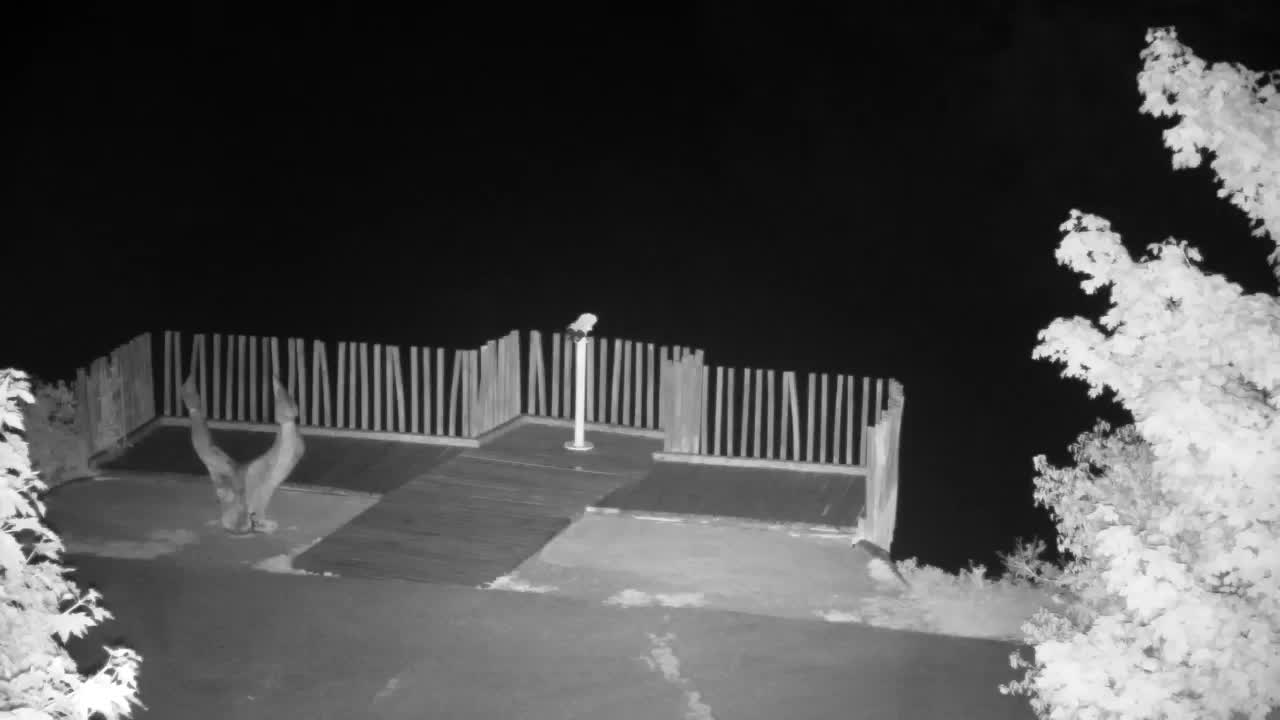 Webcam Ribnik Vrbje – Žalec
