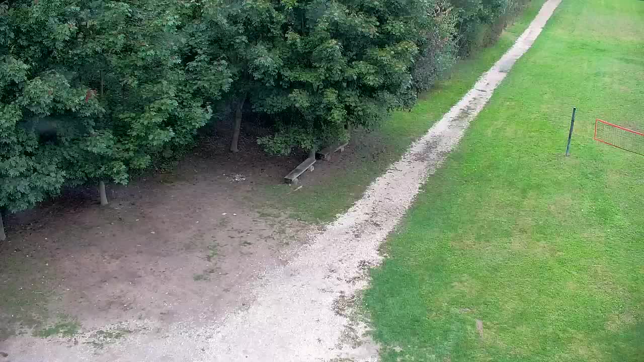 Webcam Ribnik Vrbje – Žalec