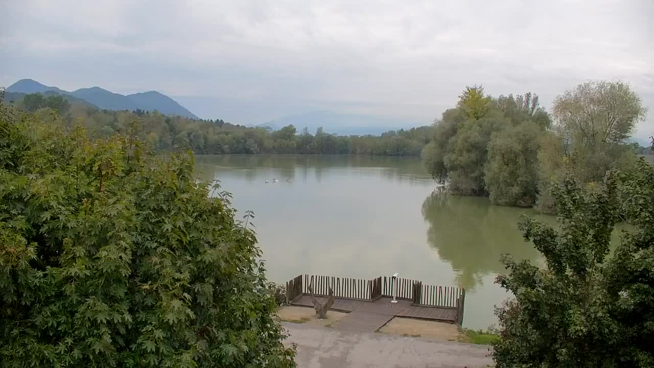 Webcam Ribnik Vrbje – Žalec