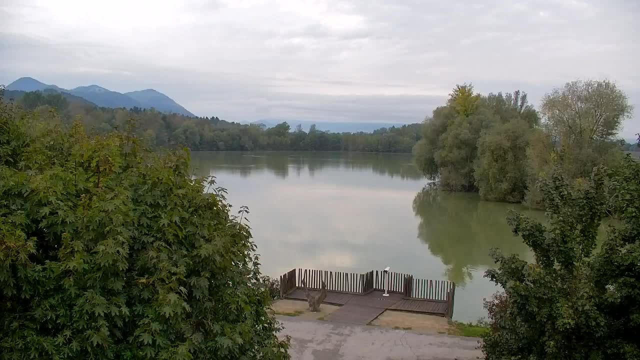 Webcam Ribnik Vrbje – Žalec