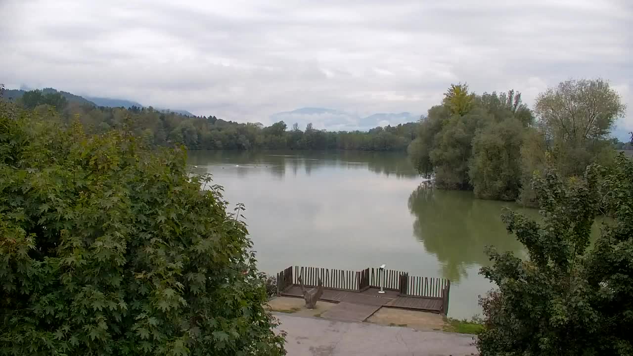 Webcam Ribnik Vrbje – Žalec