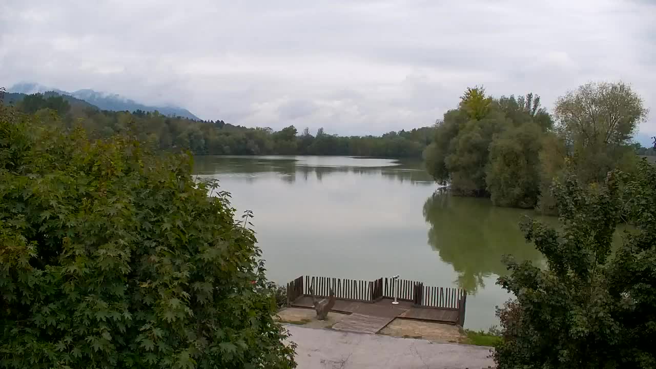 Webcam Ribnik Vrbje – Žalec