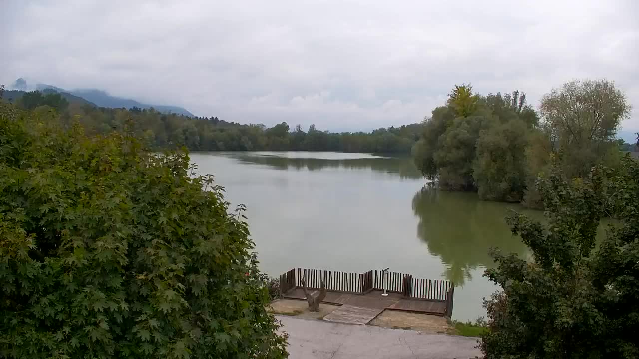 Webcam Ribnik Vrbje – Žalec