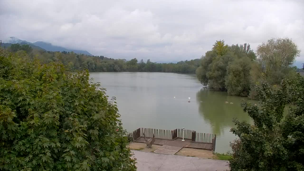 Webcam Ribnik Vrbje – Žalec