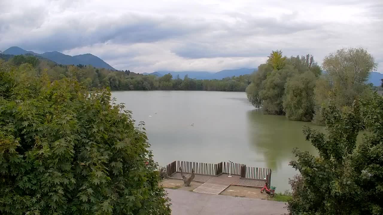Webcam Ribnik Vrbje – Žalec