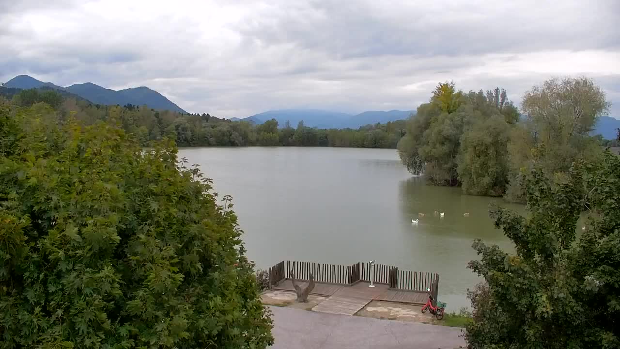Webcam Ribnik Vrbje – Žalec