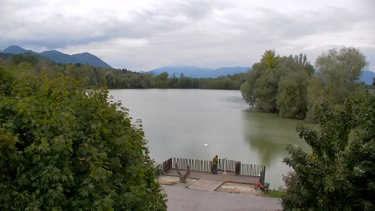 Webcam Ribnik Vrbje – Žalec