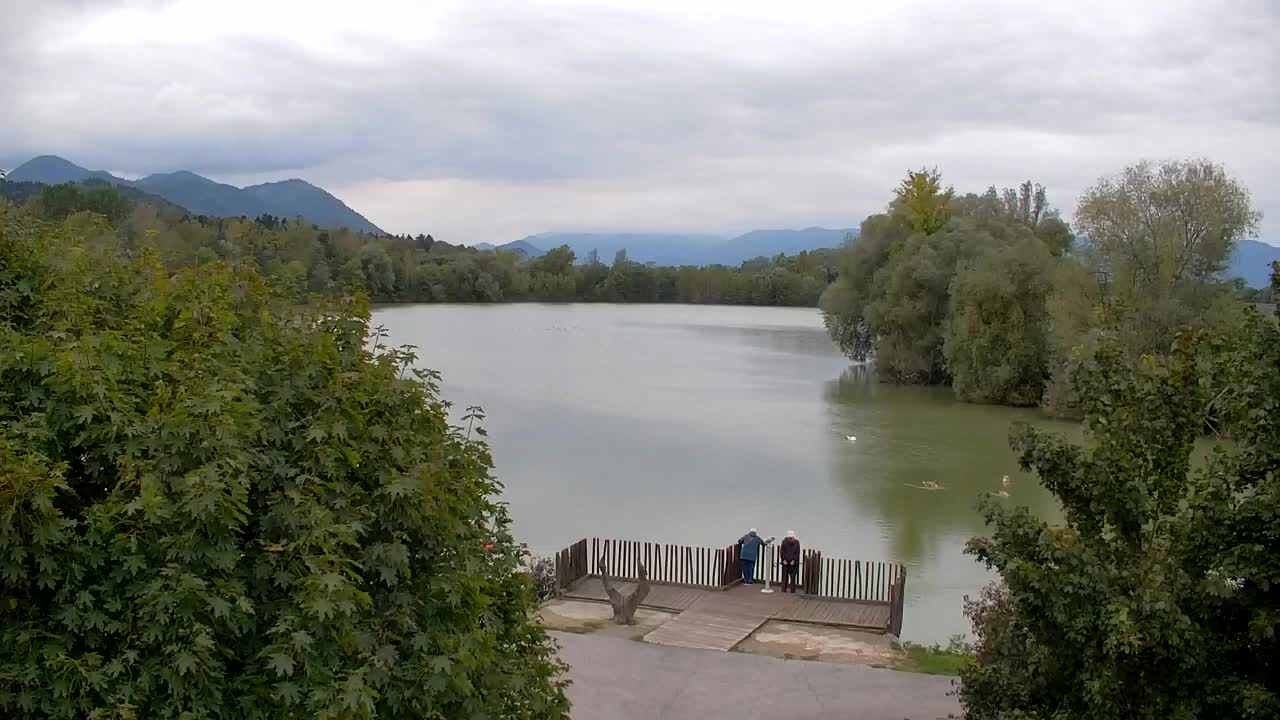Webcam Ribnik Vrbje – Žalec