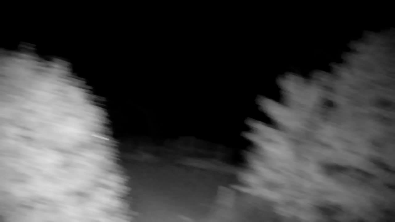 Webcam Ribnik Vrbje – Žalec