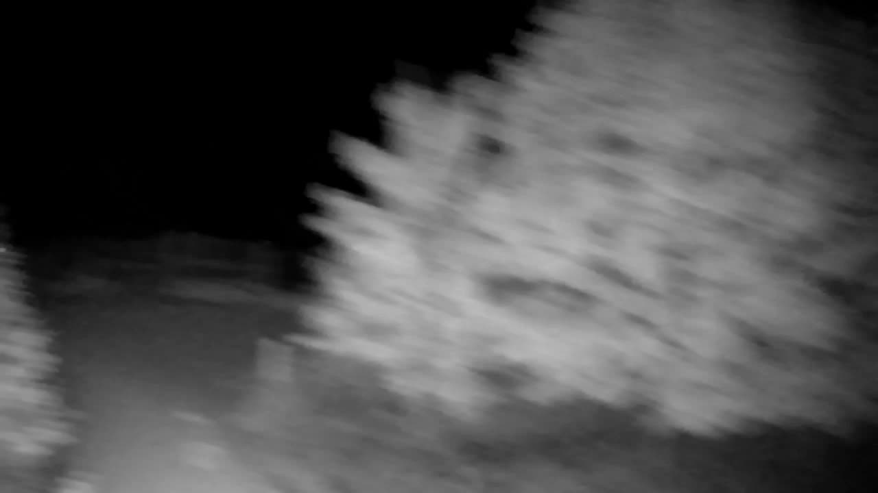 Webcam Ribnik Vrbje – Žalec