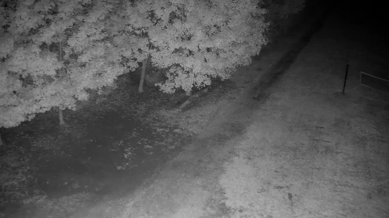 Webcam Ribnik Vrbje – Žalec