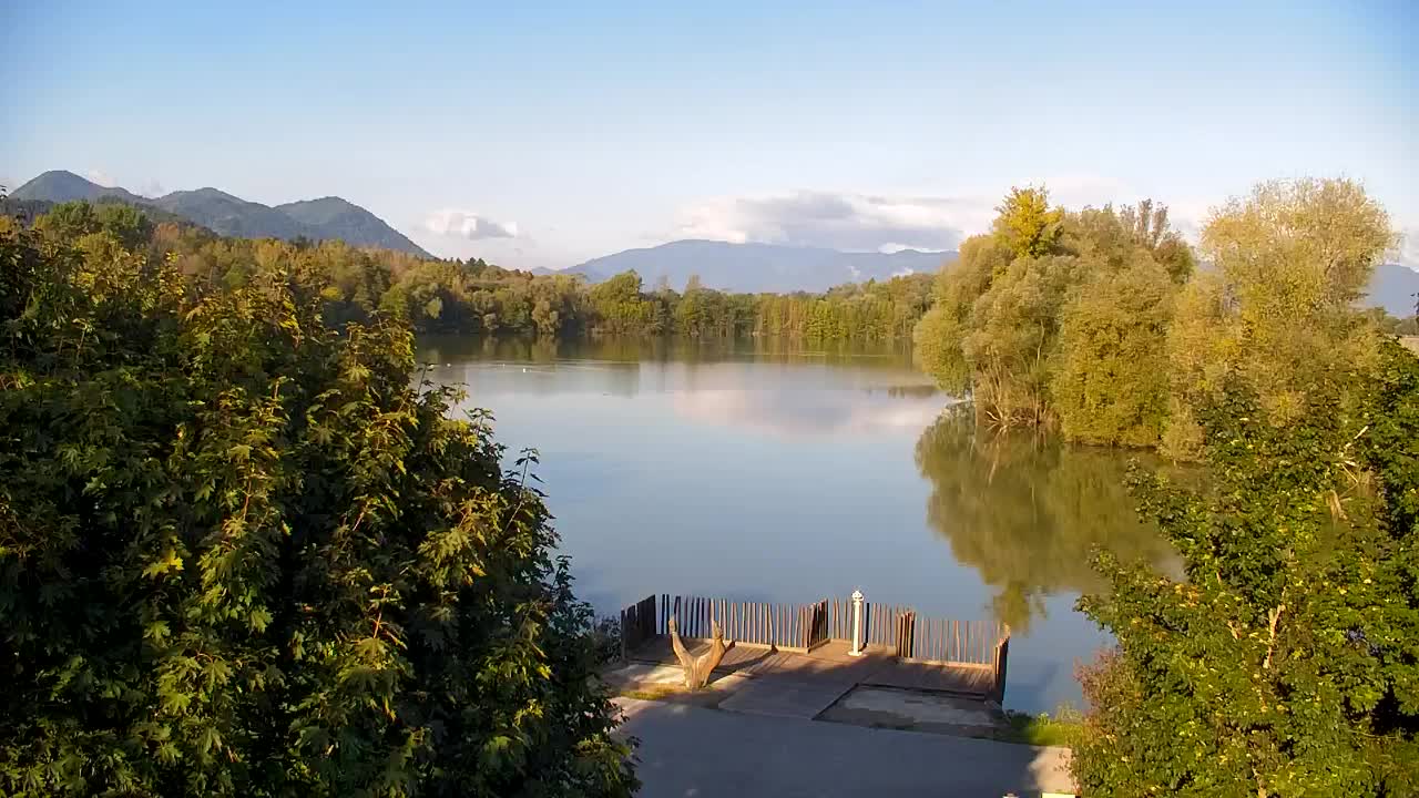 Webcam Ribnik Vrbje – Žalec